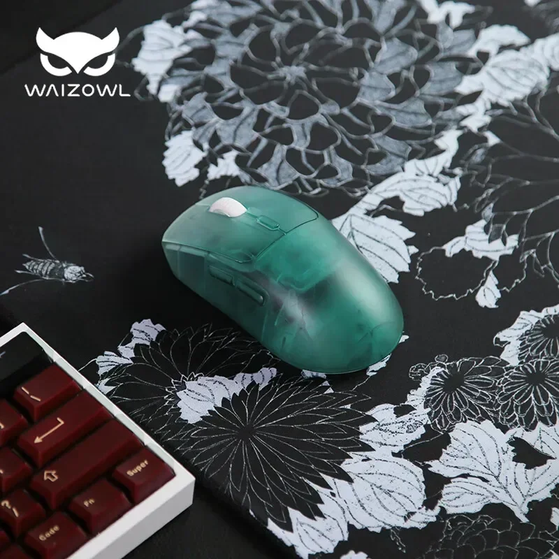 Беспроводная мышь Waizowl OGM  – обзор и цена Laptop Accessories Design